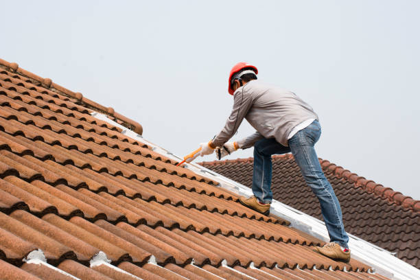 Best Gutter Installation and Repair  in Freeport, FL